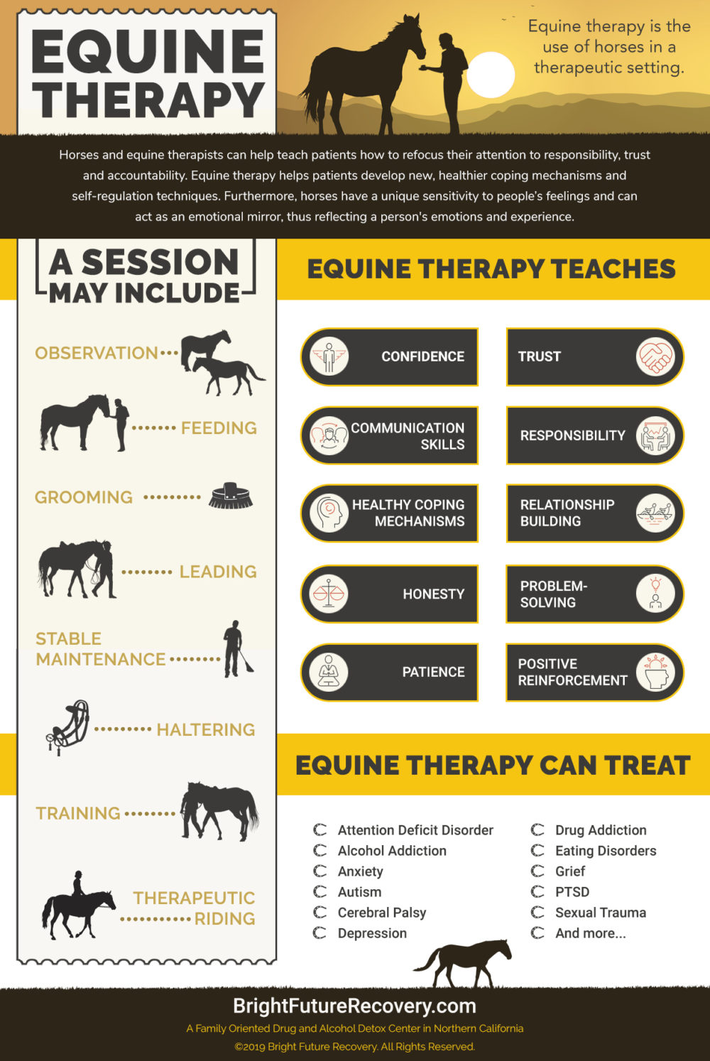 Equine Therapy Infographic Infographics Medicpresents