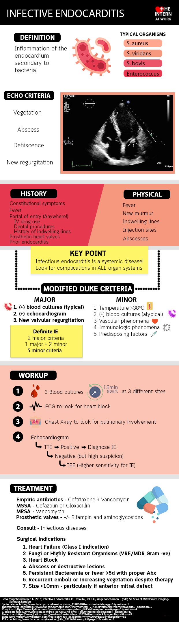 Infective Endocarditis Infographic Infographics Medicpresents