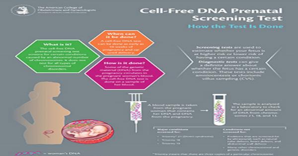 Cell-Free DNA Prenatal Screening Test Infographic Infographics ...