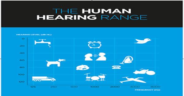 The Human Hearing Range Infographic Infographics | Medicpresents.com