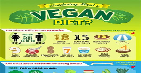 Wondering About Vegan Diet Infographic Infographics