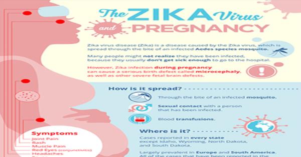 The Zika Virus And Pregnancy Infographic Infographics 5115