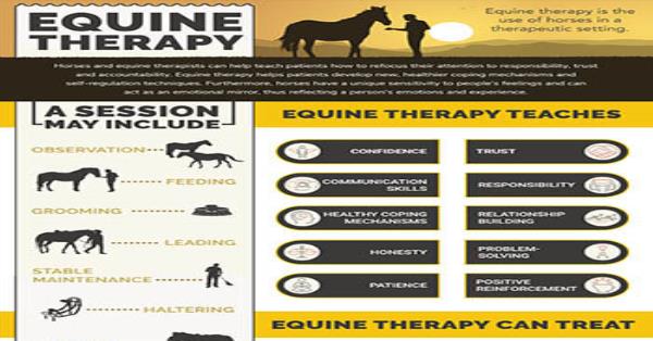 Equine Therapy Infographic Infographics Medicpresents com