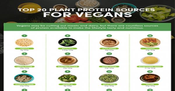 Top 20 Plant Protein Sources For Vegans Infographic Infographics 9392