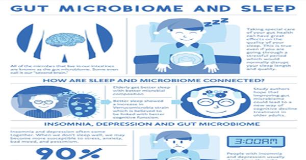 Gut Microbiome and Sleep Infographic Infographics | Medicpresents.com