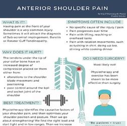 Free Kinesiology and Physiotherapy Infographics | MedicPresents.com