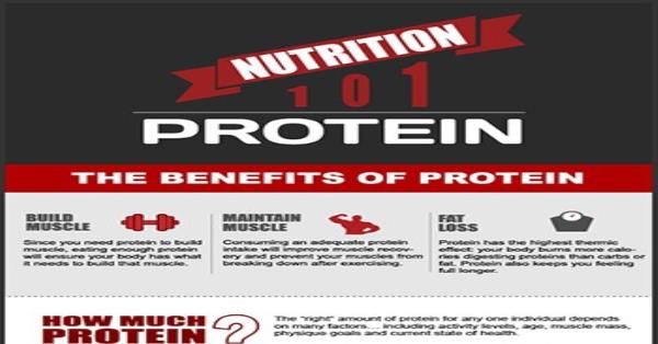 Nutrition 101 - The Benefits of Protein Infographic Infographics ...