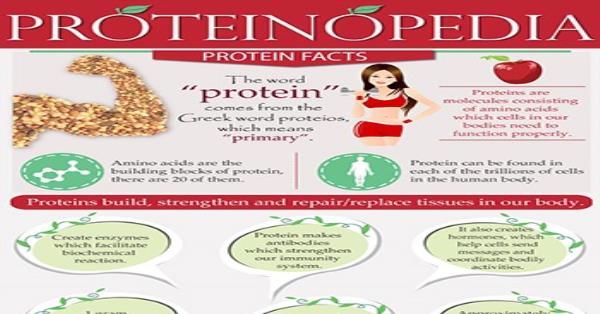 Proteinopedia: Protein Facts Infographic Infographics | Medicpresents.com