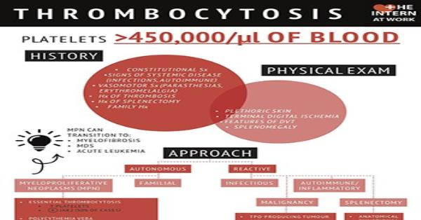 thrombocytosis-infographics-medicpresents