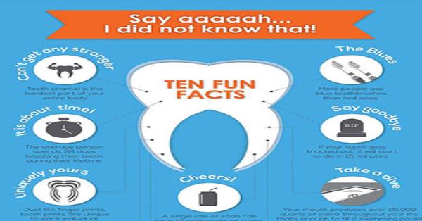 10 Facts About Our Teeth Infographic