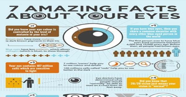 7 Amazing Facts About Your Eyes Infographic Infographics ...