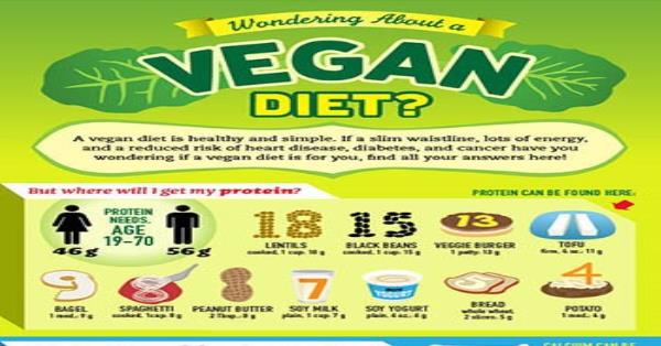 vegan nutrition infographic
