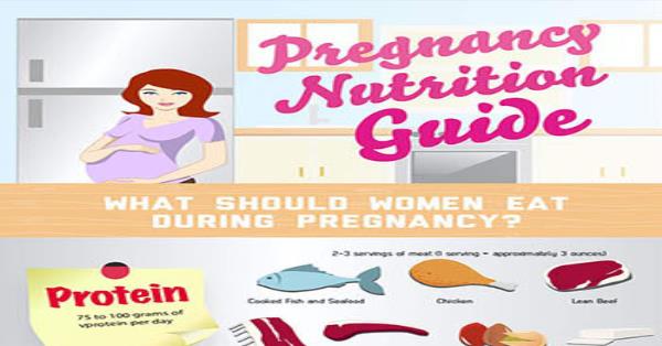 Pregnancy Nutrition Guide Infographic Infographics