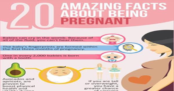 20 Amazing Facts About Being Pregnant Infographic Infographics 5300