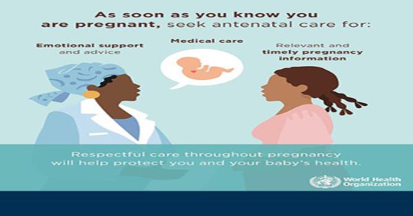 Antenatal Mare and Maternal health – Seek antenatal care infographic ...