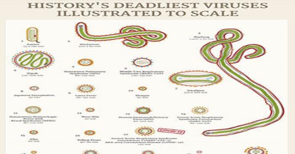 Historys Deadliest Viruses Illustrated To Scale Infographic Infographics 