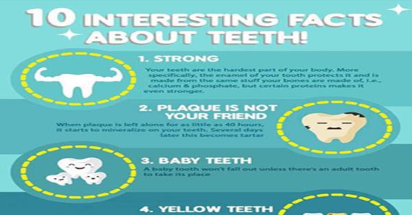 10 Interesting Facts About Teeth Infographic Infographics ...