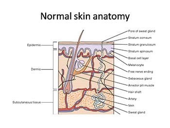 Eczematous skin disorders