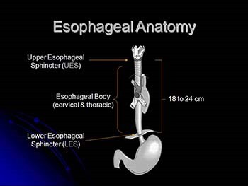 Esophageal Disorders