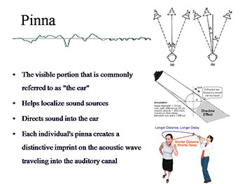 Anatomy, Physiology and Disorders of the Hearing