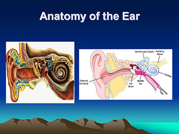 Ear Disorders