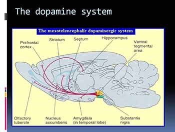 Pharmacotherapy for Substance Use Disorders