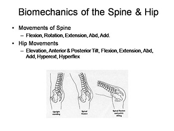 Biomechanics of the Spine and Hip