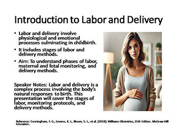 Labor and Delivery: Stages, Monitoring, and Care