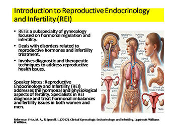 Reproductive Endocrinology and Infertility (REI): Diagnosis, Treatment, and Care