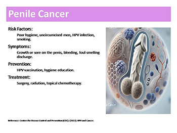 Male Reproductive Cancers