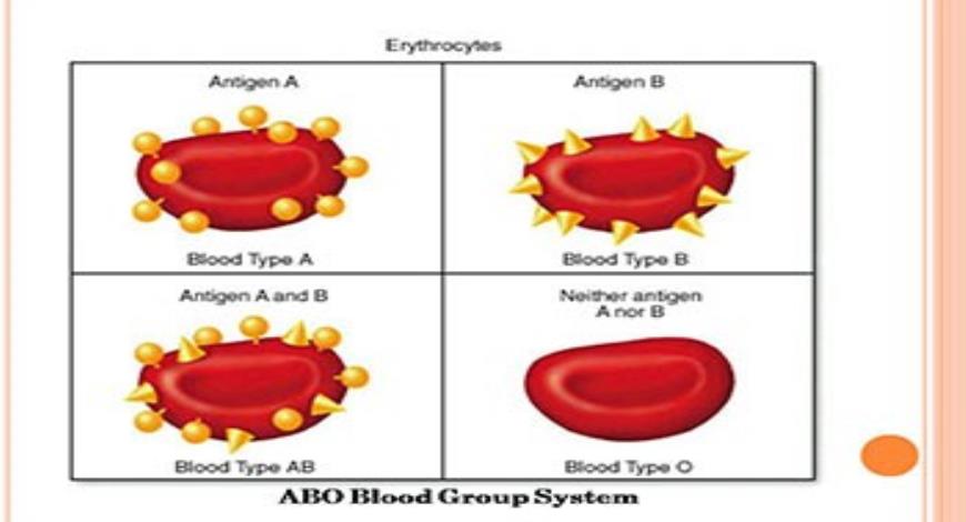 Download Free Medical Unit 2 Forensic Serology 3 Blood Typing Powerpoint Presentation