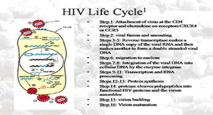 Download Free Medical Anti-HIV Drugs PowerPoint Presentation