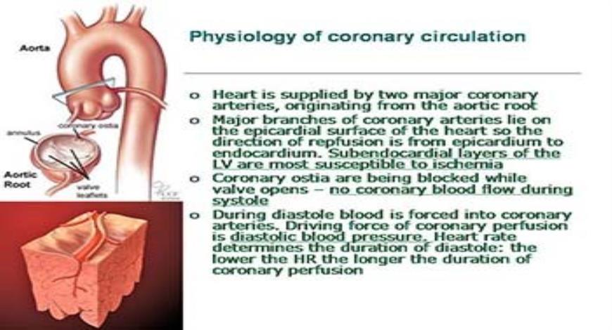 download-free-medical-chronic-forms-of-ischemic-heart-disease