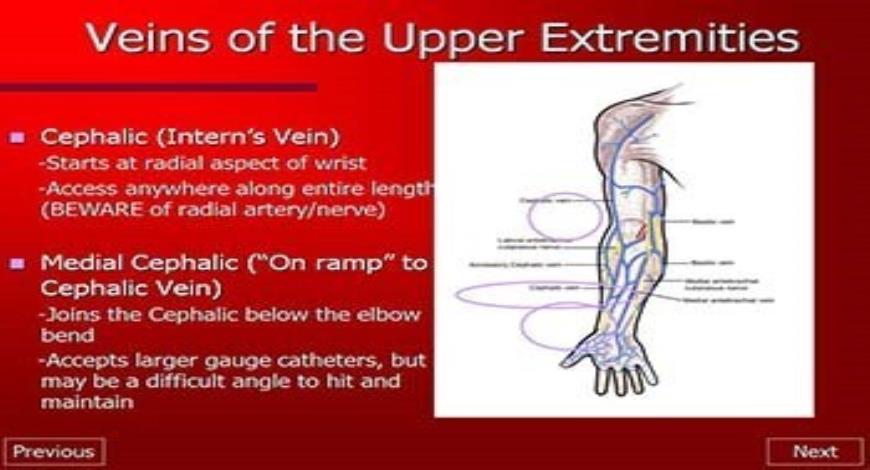 Download Free Medical Basic Intravenous Therapy PowerPoint Presentation