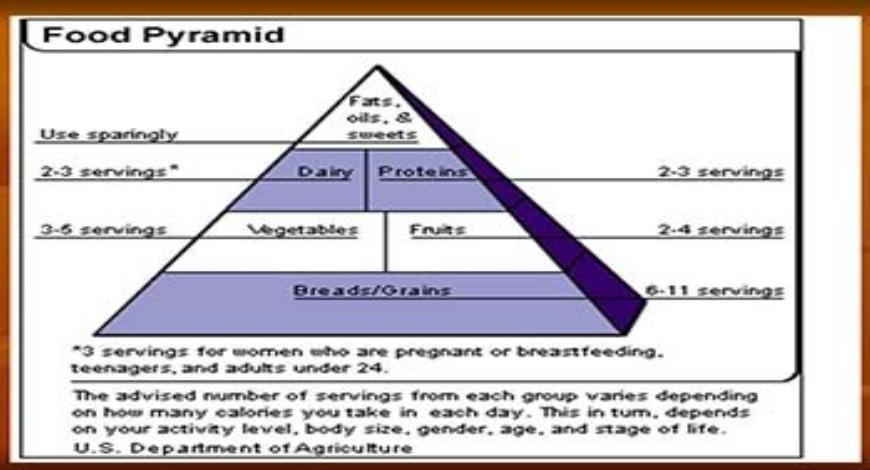 Download Free Medical Nutrition in Childhood and Adolescence PowerPoint ...