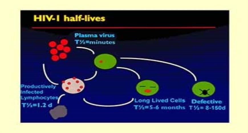 Download Free Medical Viral Pathogenesis - An Overview PowerPoint ...