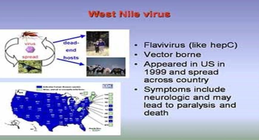 Download Free Medical Viral pathogenesis PowerPoint Presentation