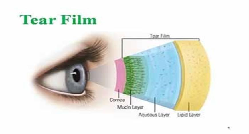 Download Free Medical Ocular Pharmacology PowerPoint Presentation