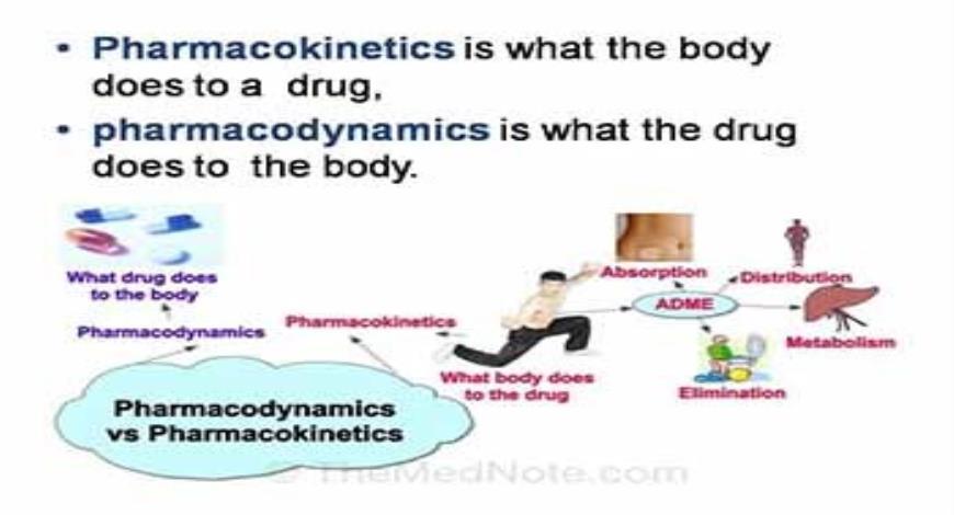 Download Free Medical Pediatrics pharmacology PowerPoint Presentation