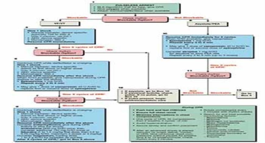 Download Free Medical Defibrillator PowerPoint Presentation