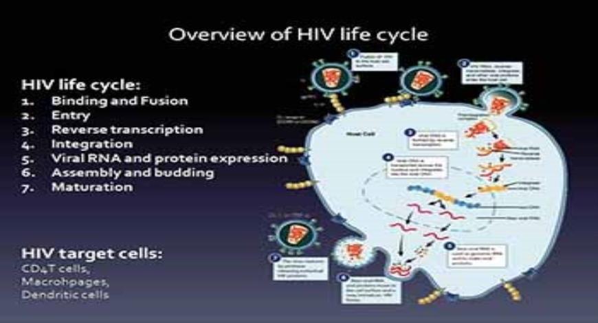 Download Free Medical Pathogenesis of HIV disease and markers of ...