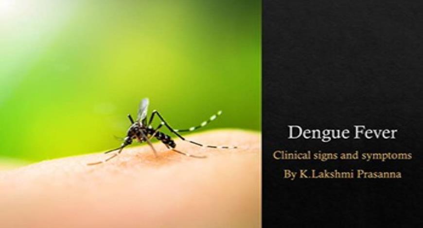 dengue case presentation slideshare