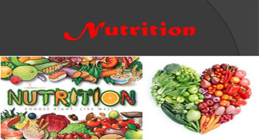 Download Free Medical Nutrition Powerpoint Presentation