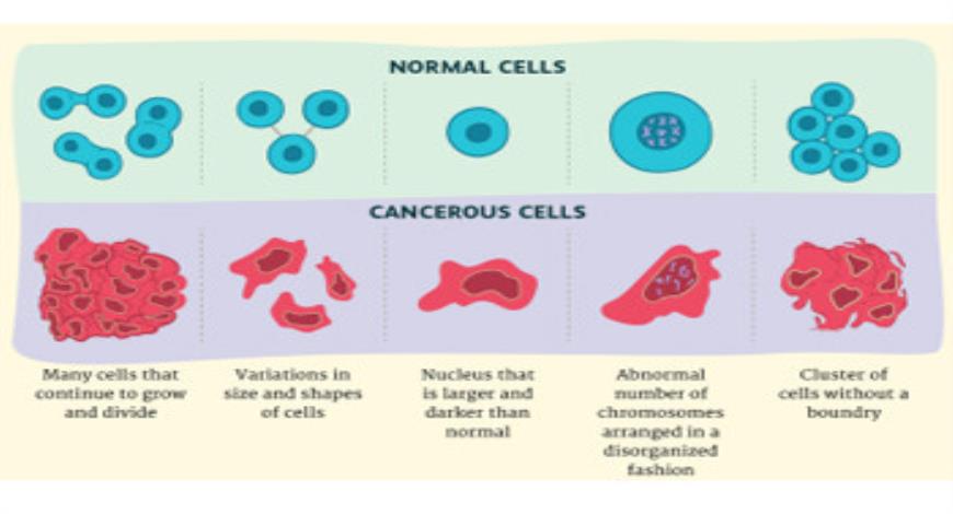 Download Medical Notes on Anticancer Drug