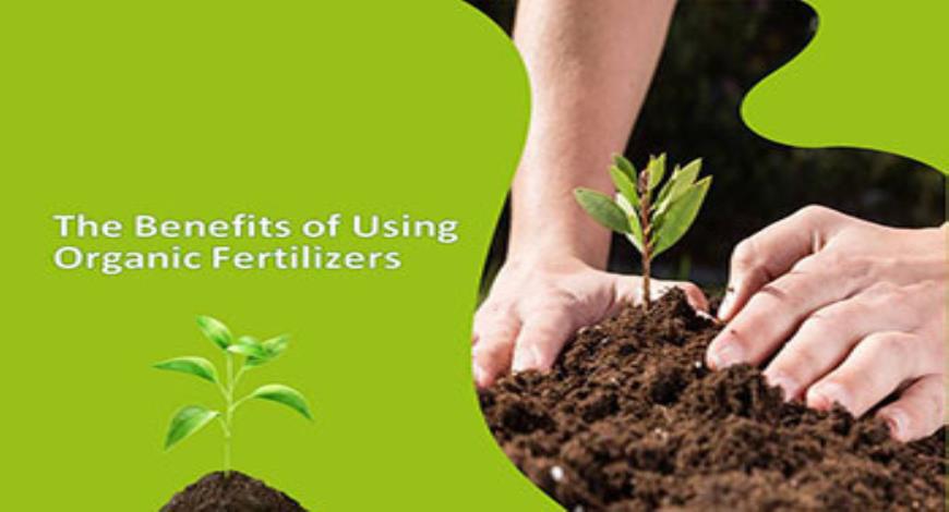 Download Free Medical The Benefits of Using Organic Fertilizers ...