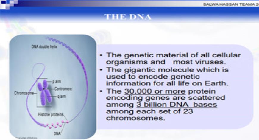 Download Medical Notes on HUMAN GENETICS