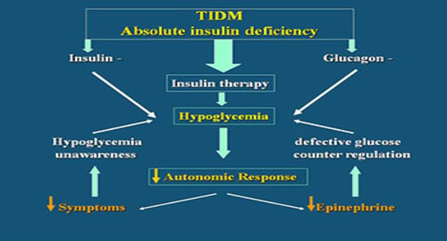 hypoglycemia case study slideshare