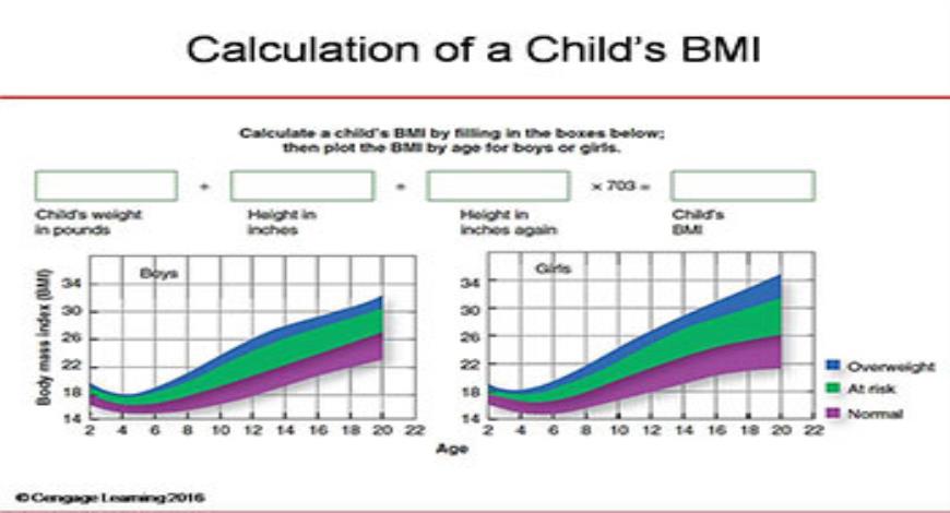 Download Free Medical Feeding and Eating Disorders PowerPoint Presentation