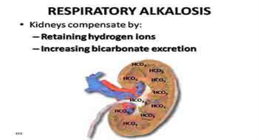 Download Free Medical Acid-Base Balance or Homeostasis of Blood PH Or ...