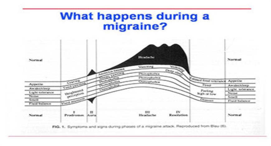 Download Free Medical Headache Diagnosis And Treatment PowerPoint ...